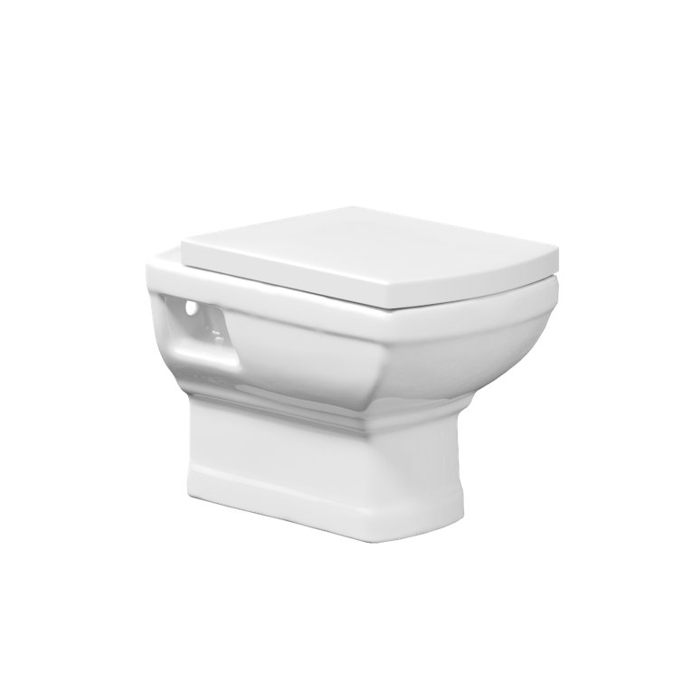 Ivy Bronx Toilet, Back Wall Hung Toilet Pan, Tankless Toilet For